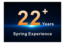 22 anos de experiência de primavera